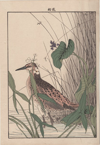 original Imao Keinen Japanese woodblock print birds and flowers 1885
